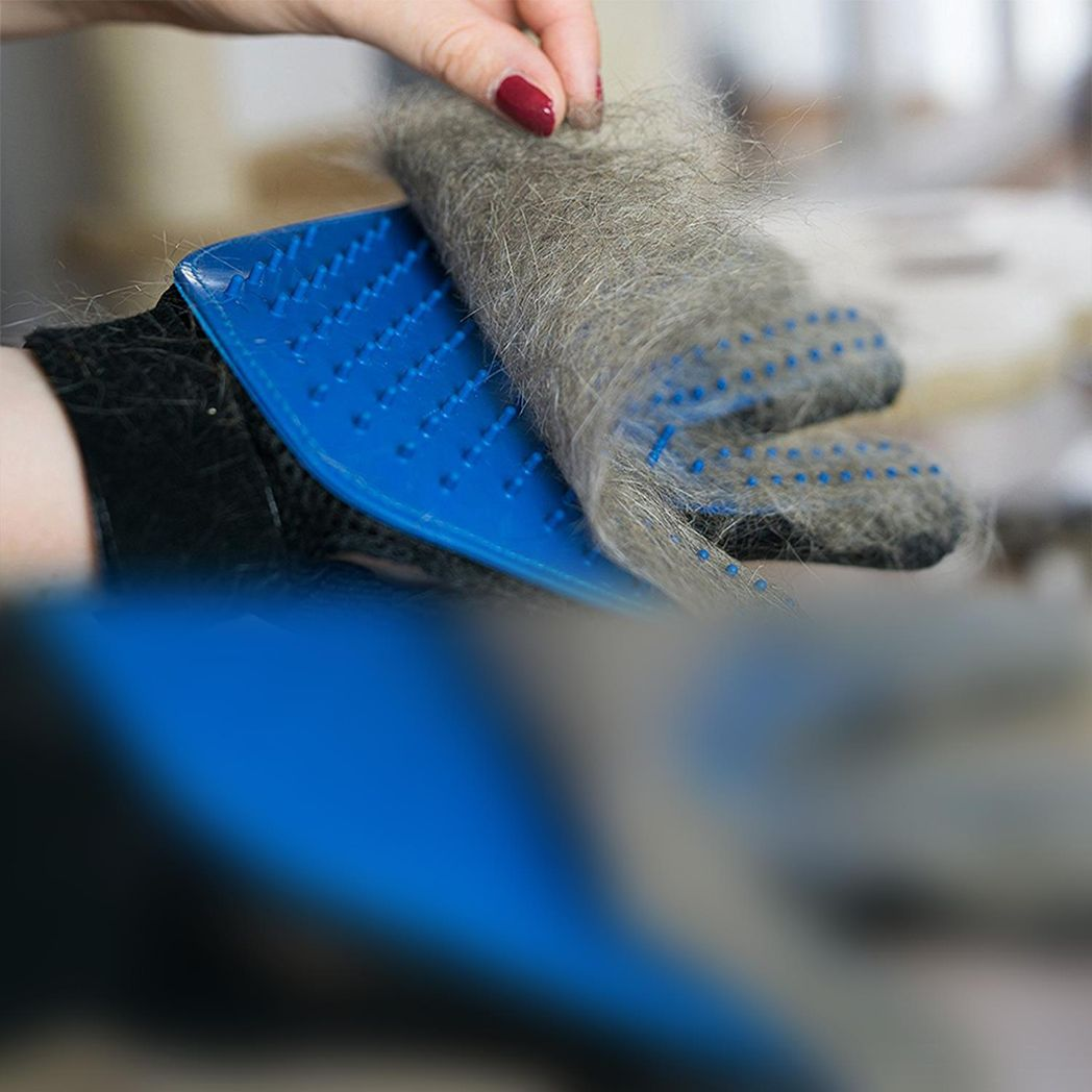 The 'Preen' Silicone Grooming Gloves