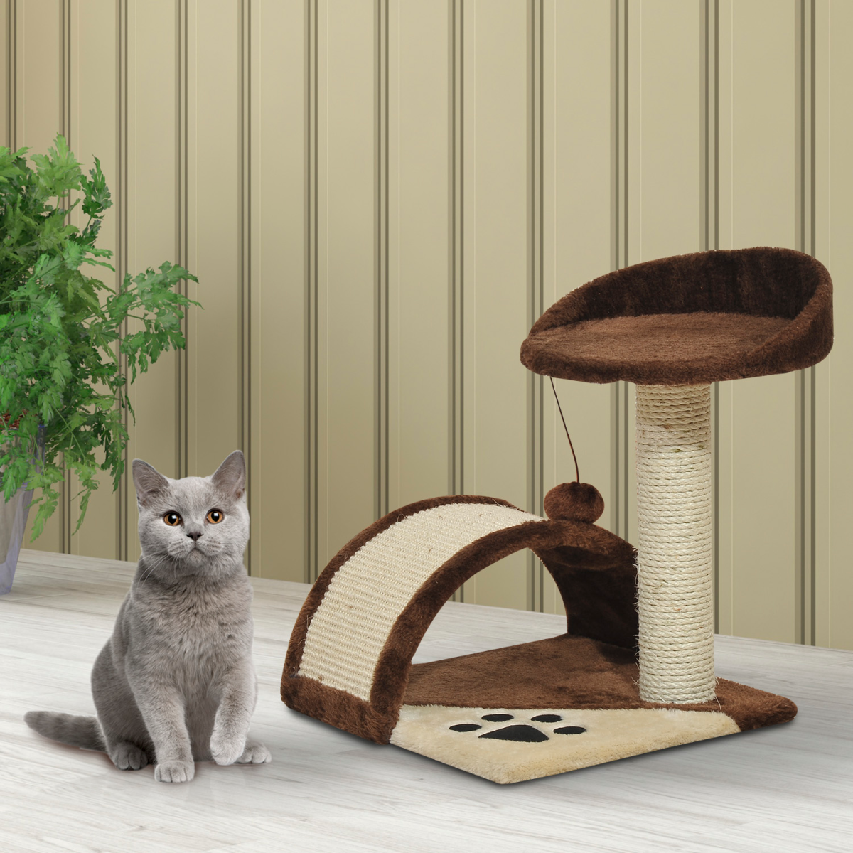 The 'Sienna' Curved Scratching Board & Perch