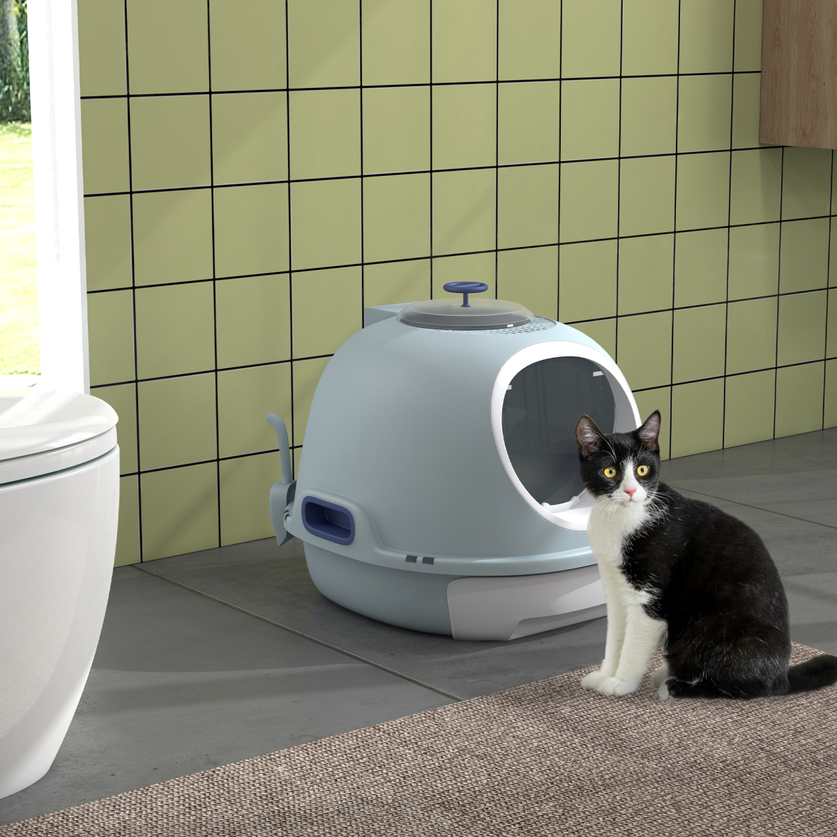 The 'Zenith' Skylight Cat Litter Station – Front Entry, Top Exit