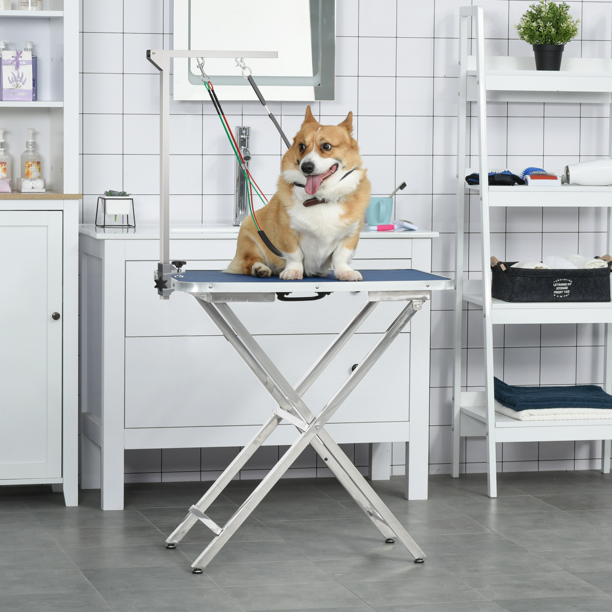 The Professional Stainless Steel Home Grooming Support Arm