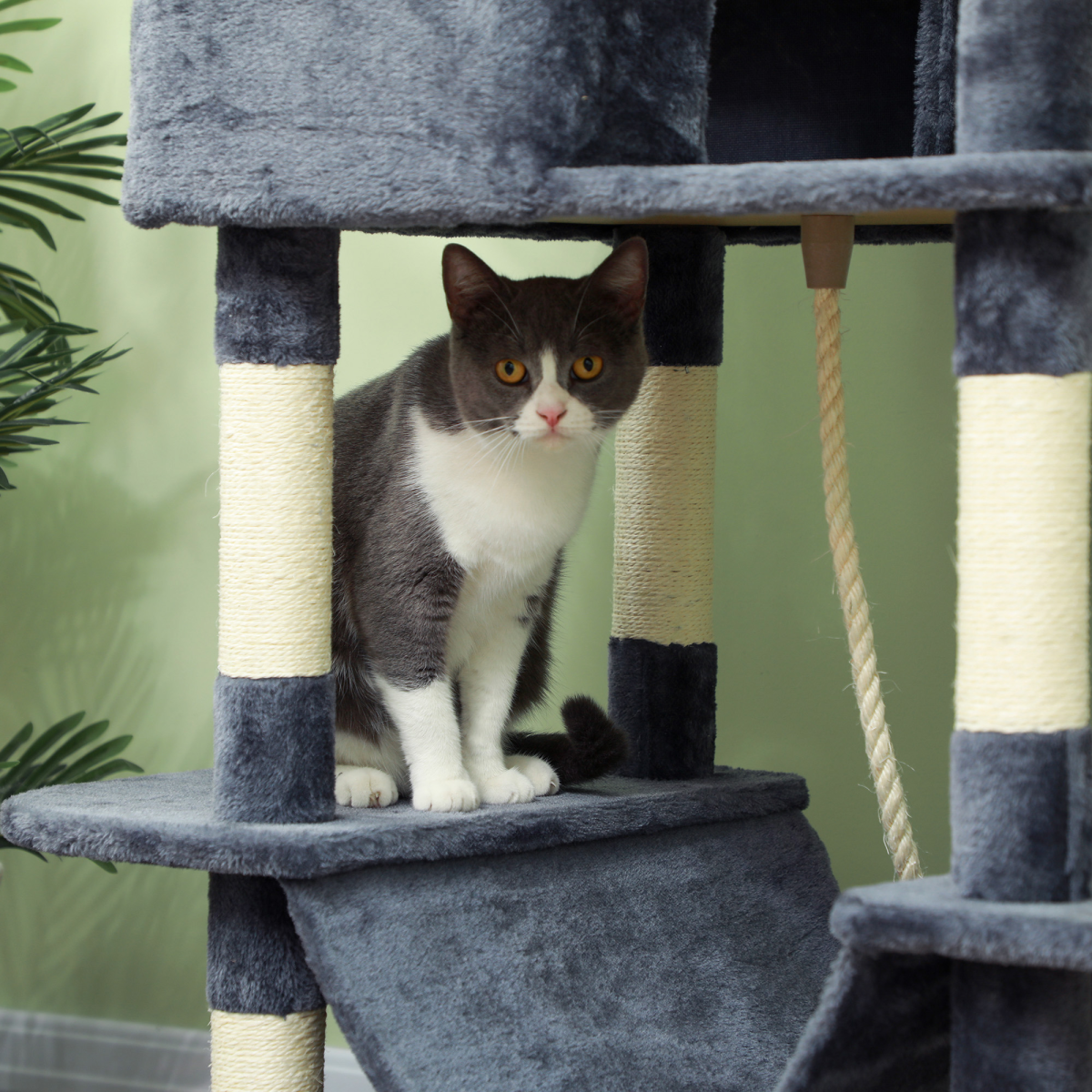 The 'Sovereign' – 206cm Cat Tower with Twin Condos, Hammocks & Wall Anchor