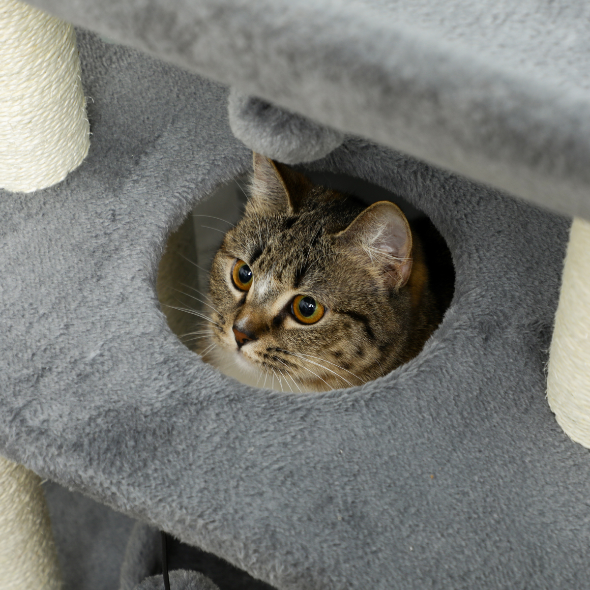 The 'Vista' Five-Surface Cat Activity Centre (76cm)